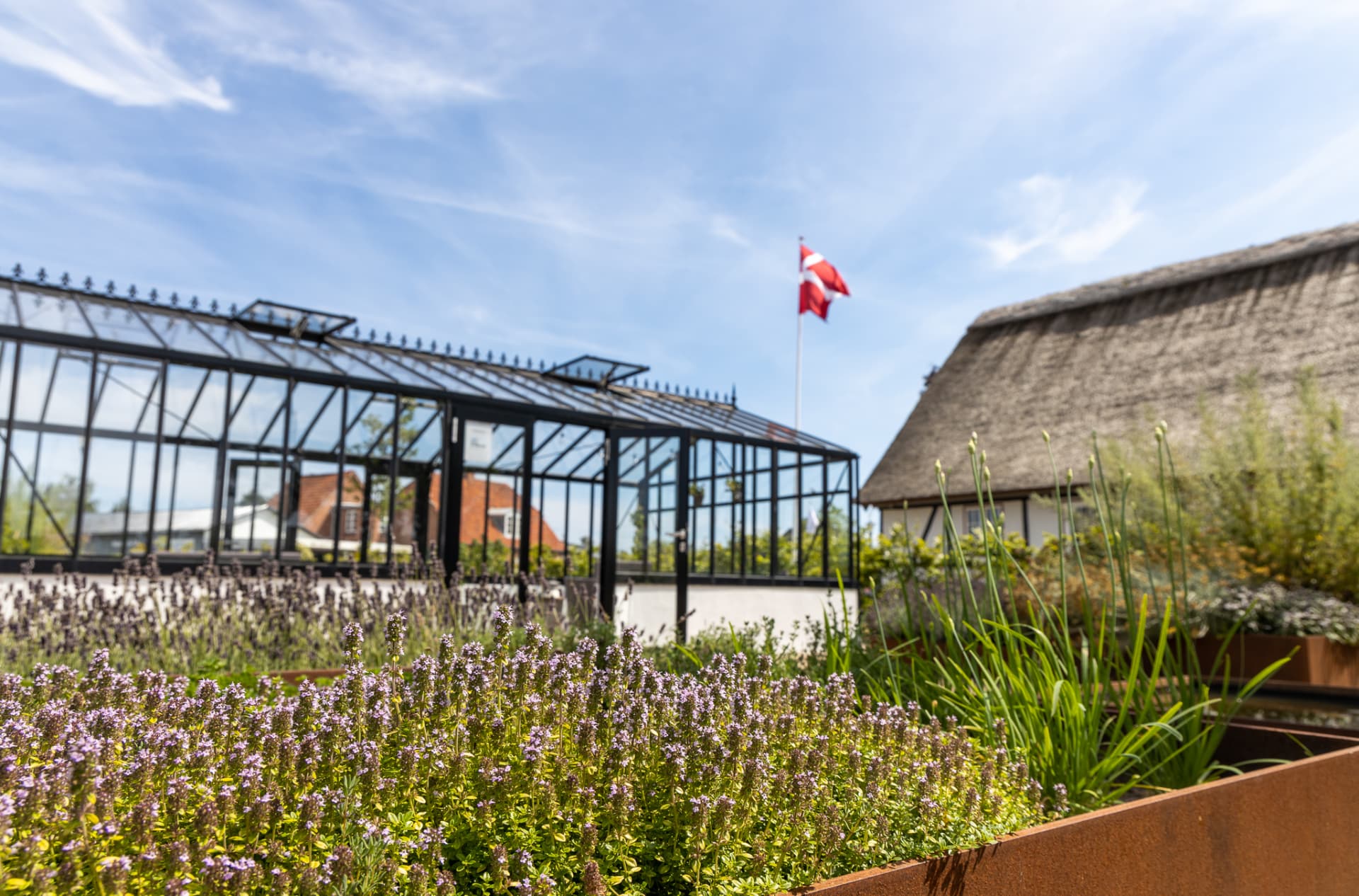 Krydderurter foran orangeriet