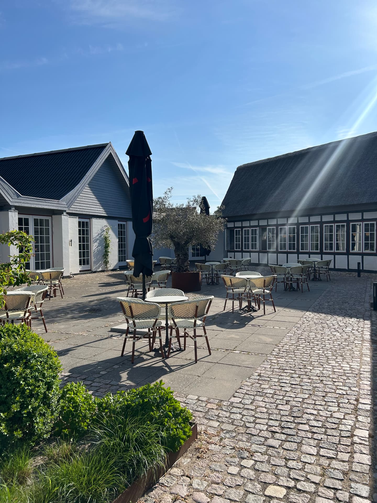 Gårdterrasse med oliventræ
